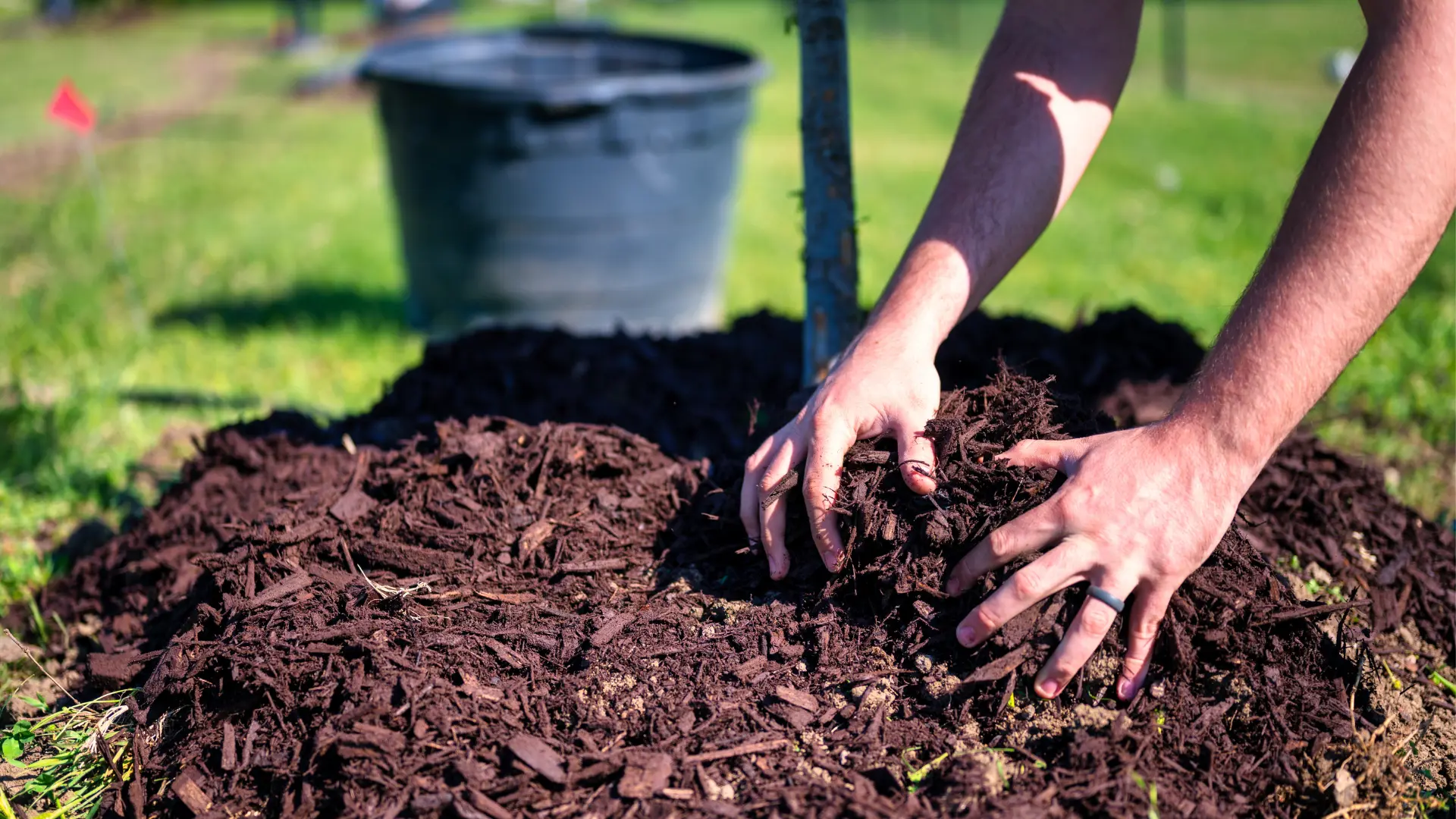 Best Mulch for Gardens, Trees & Landscaping