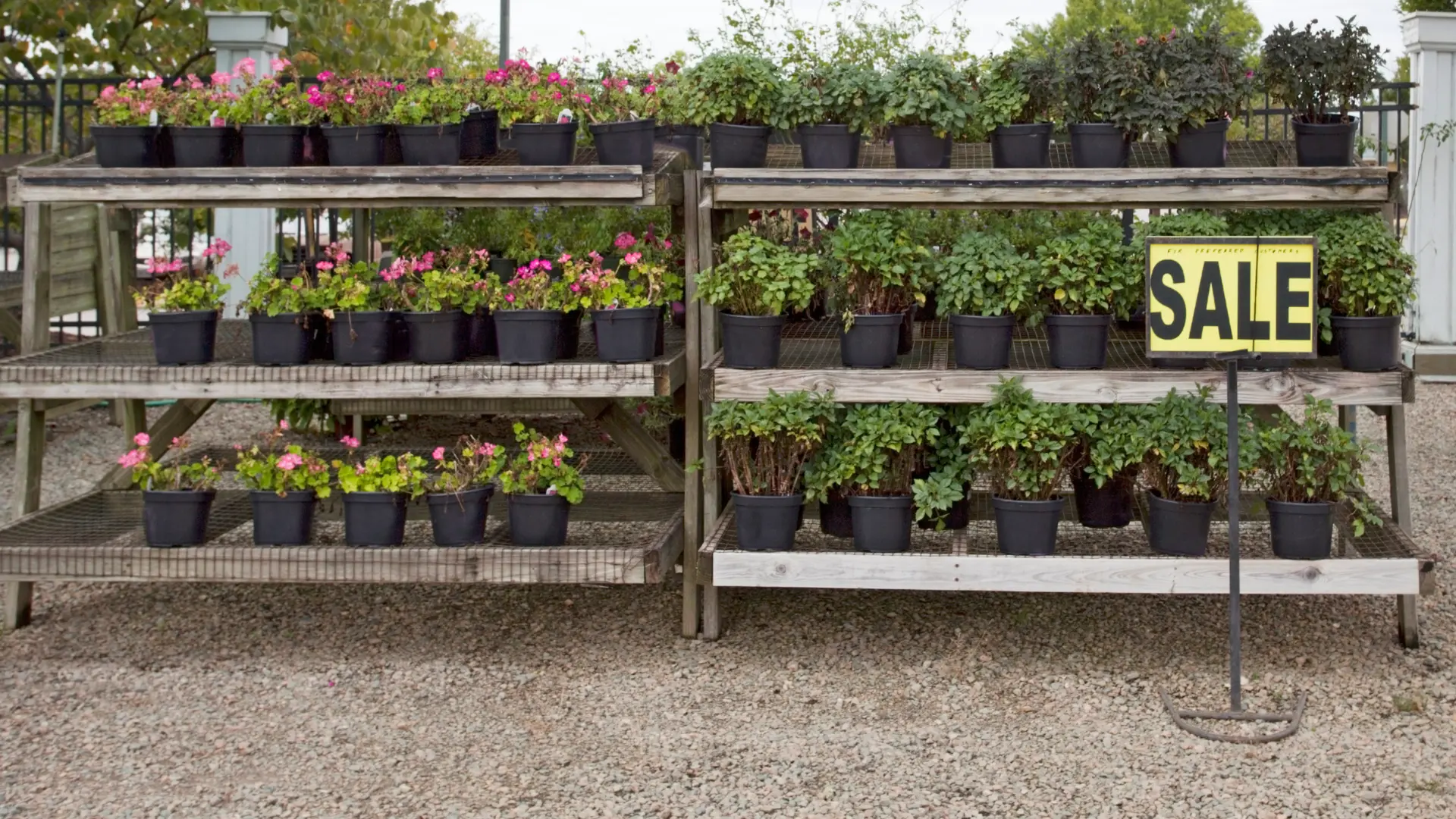 Where to Buy Mulch: Local Suppliers vs Big Box Stores