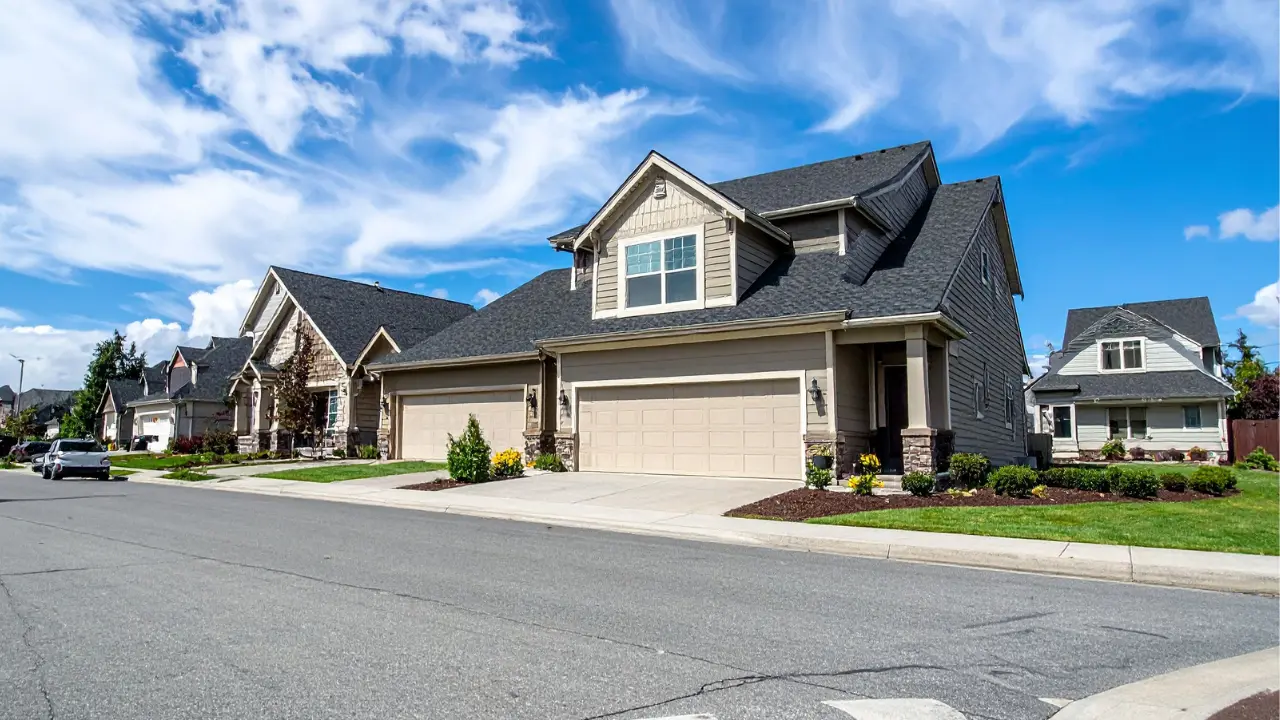 Homeowner planning a landscaping project